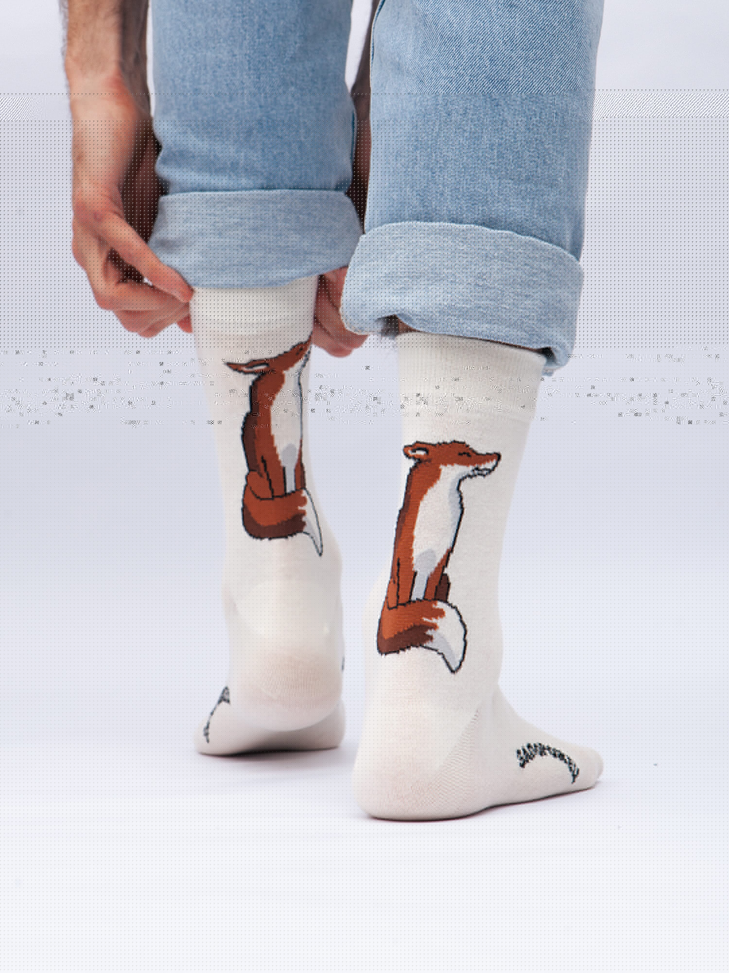 Носки Запорожец Лиса (Молочный, 35-40)