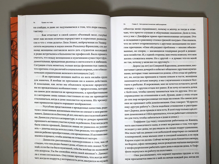 Право на гнев