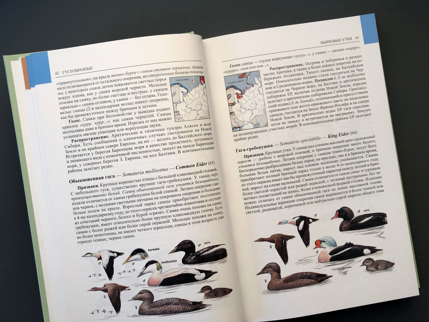 Птицы Европейской части России т.1-2