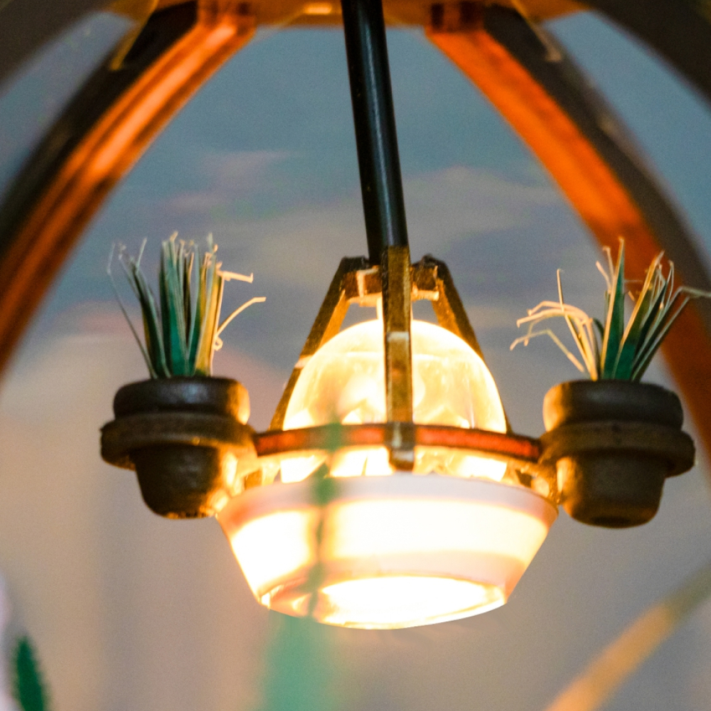 Румбокс Hobby Day Флорариум