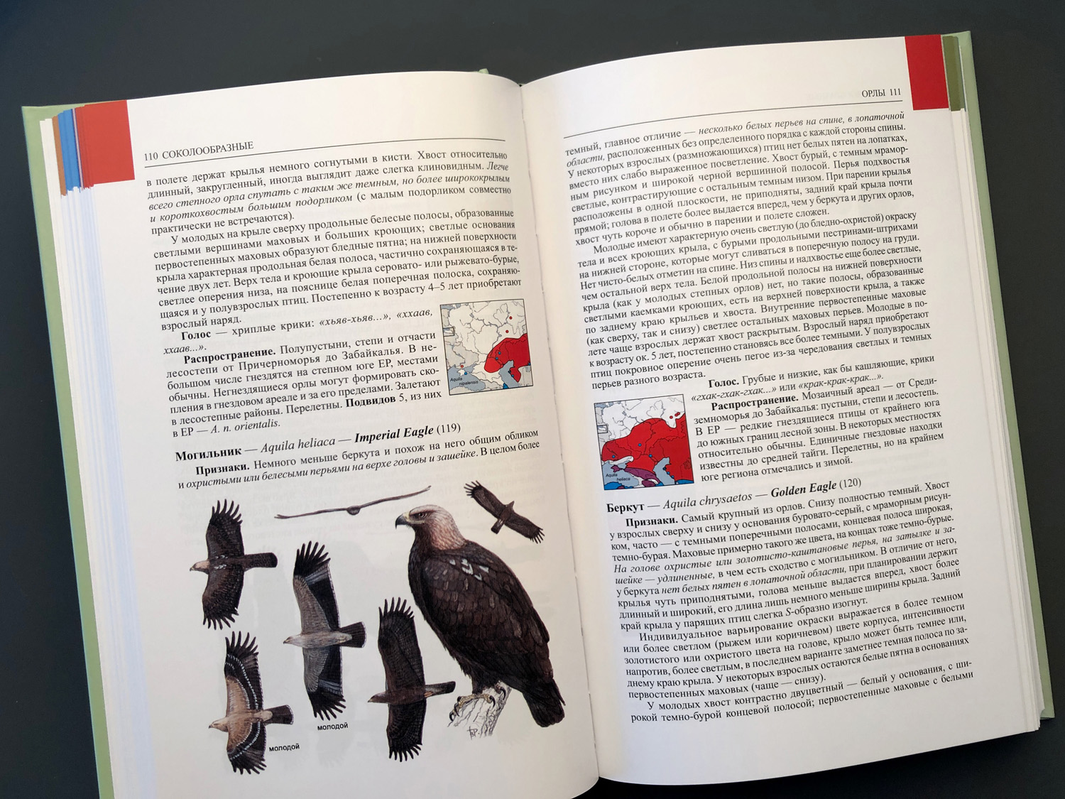 Птицы Европейской части России т.1-2