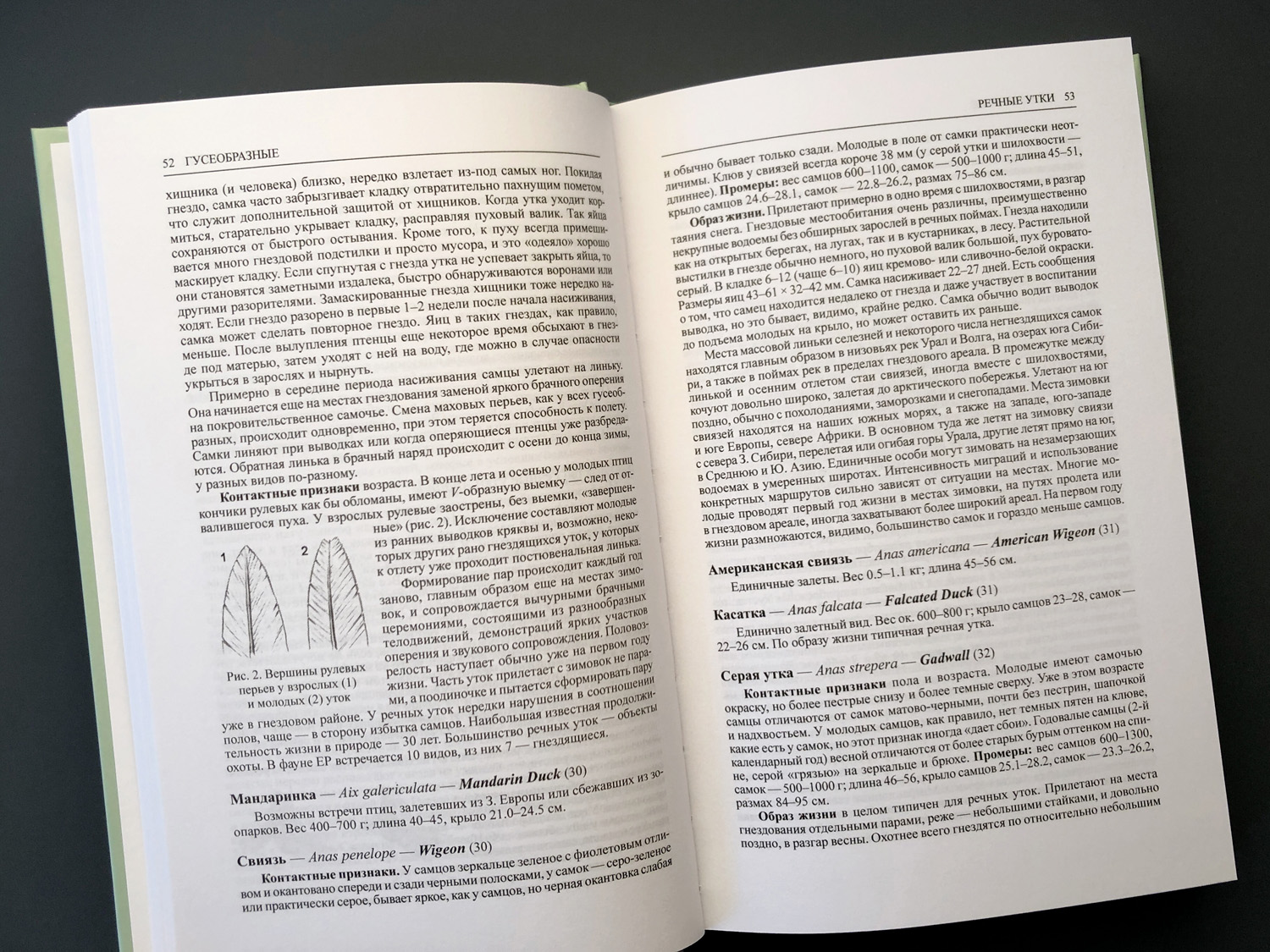 Птицы Европейской части России т.1-2