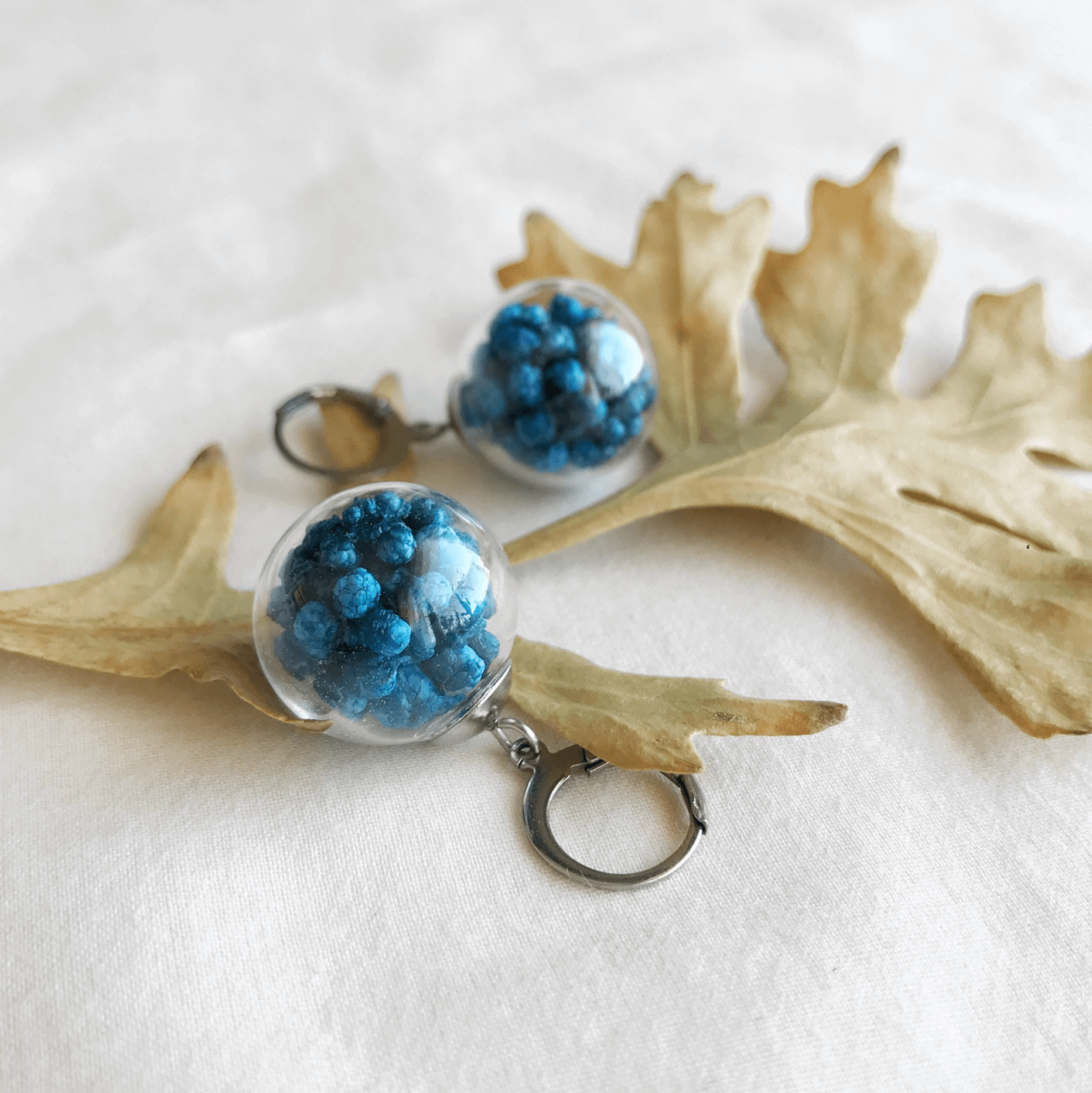 Сережки Glassbox Озотамнус синий