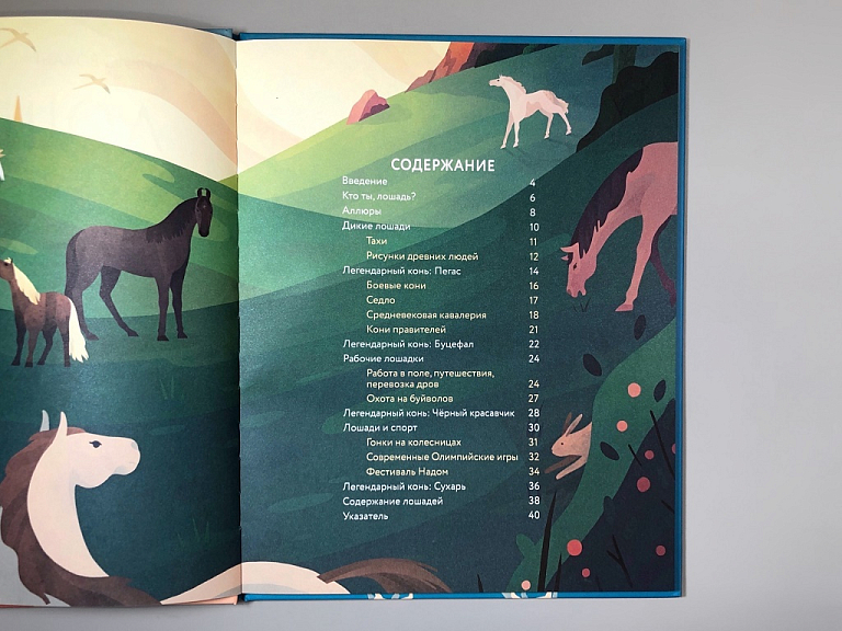 Лошади: дикие и прирученные