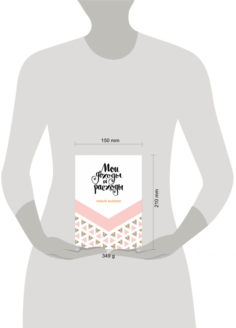 Мои доходы и расходы. Умный блокнот. Большой CashBook (Dream)