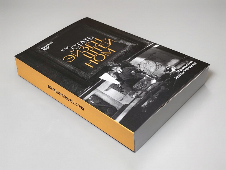 Как стать Эйзенштейном. Краткий курс