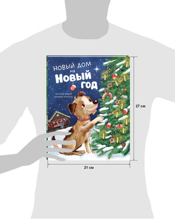 Новый дом на новый год