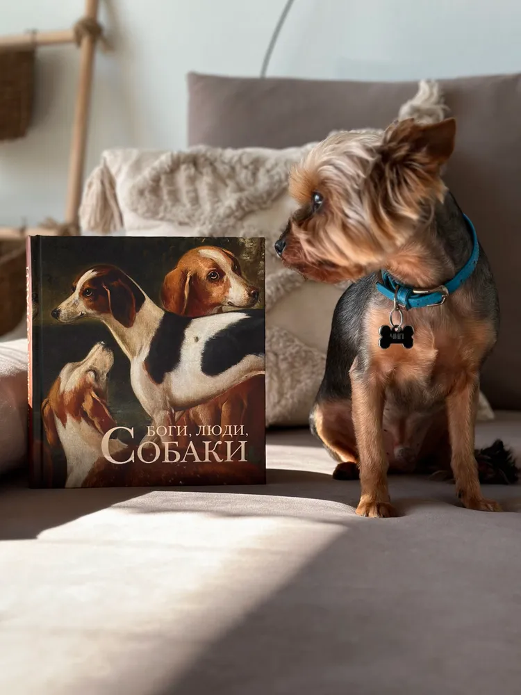 Боги, люди, собаки