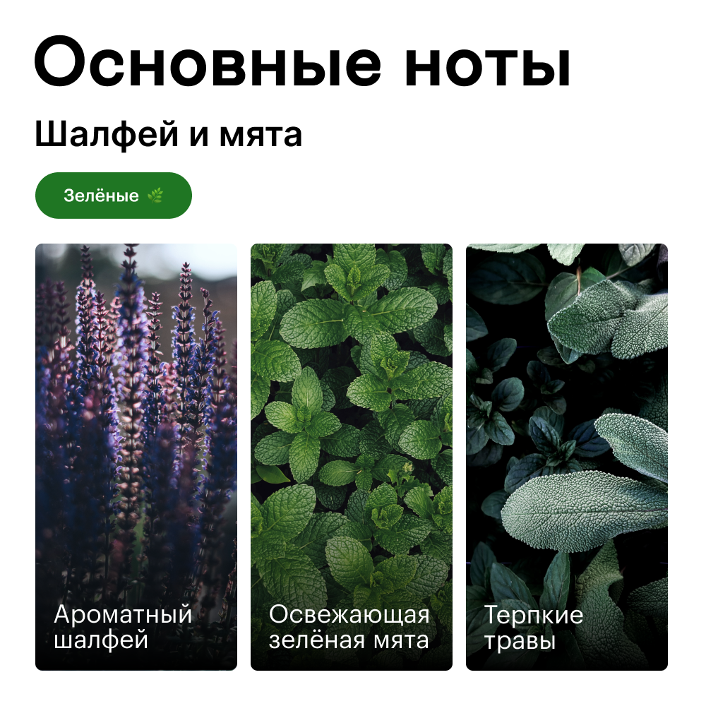Духи Шалфей и мята 30 мл. (БА)