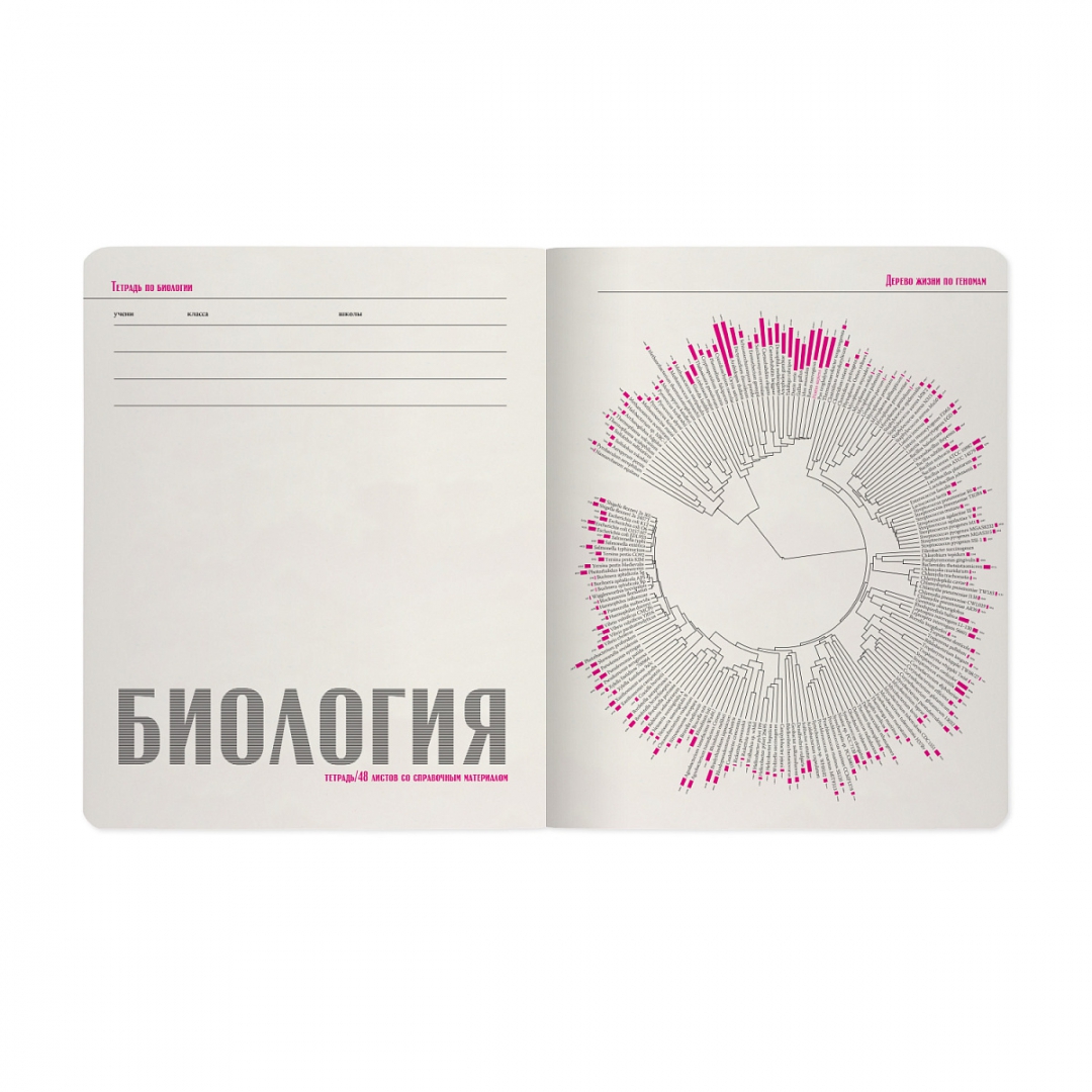 Тетрадь Зверобудни (биология)