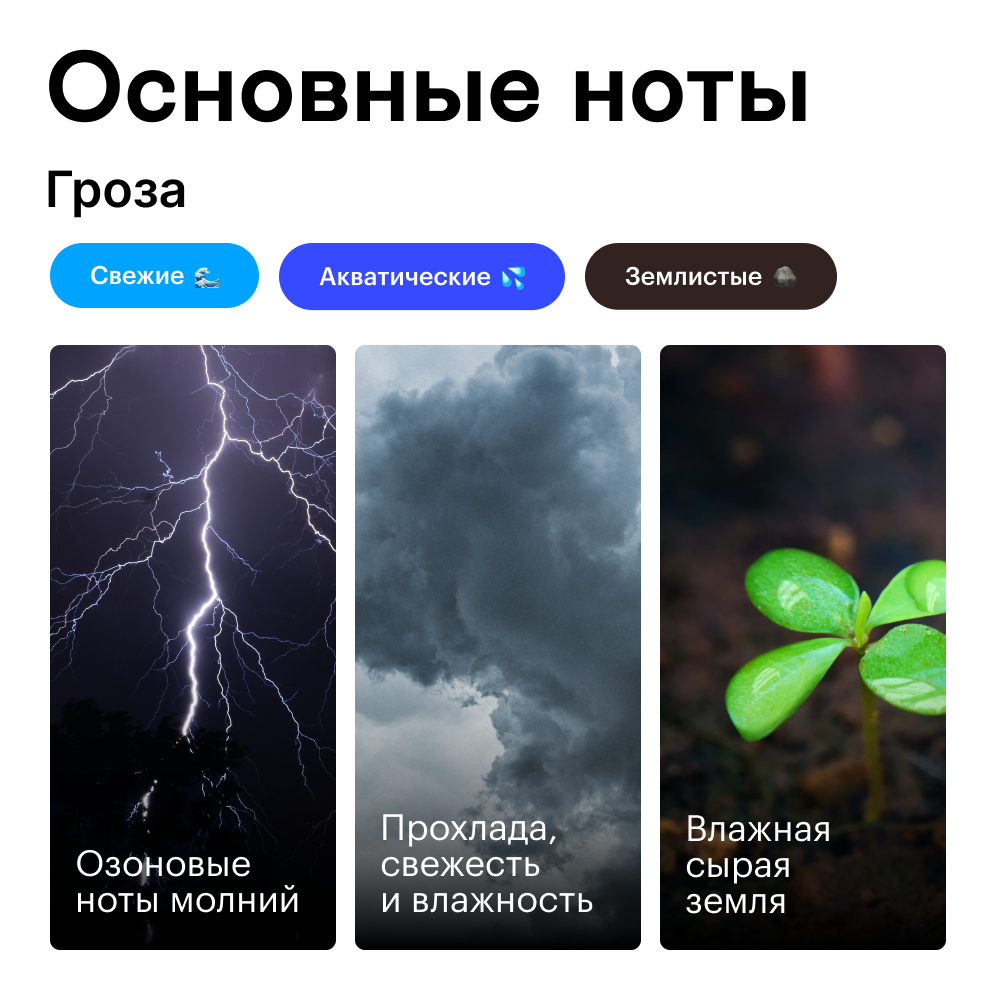 Духи роллербол Гроза 10 мл.