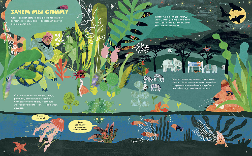 Почему мы спим