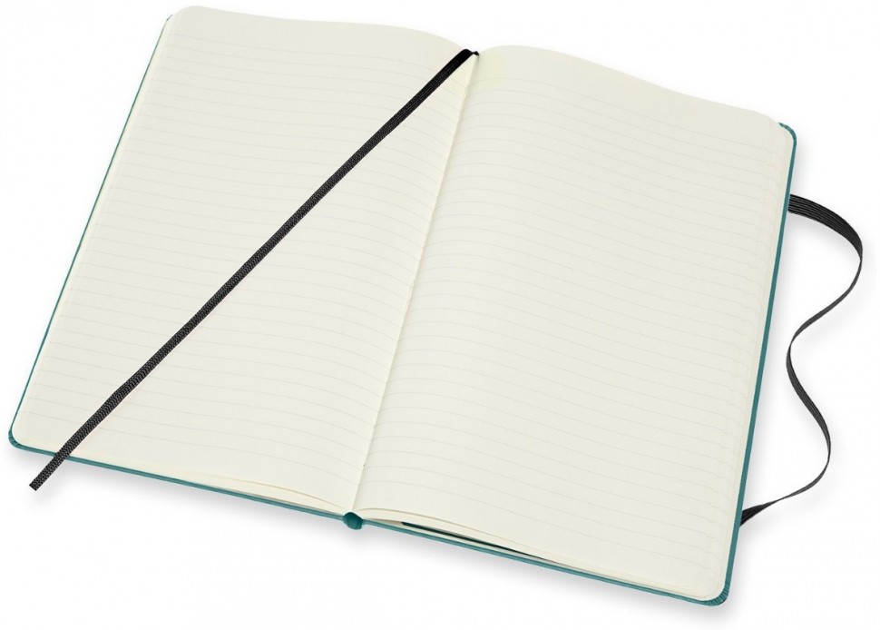 Записная книжка Le Petit Prince (в линейку) Large, зеленый