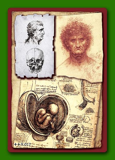 Настольная игра Загадка Леонардо. Novem (дополнение)