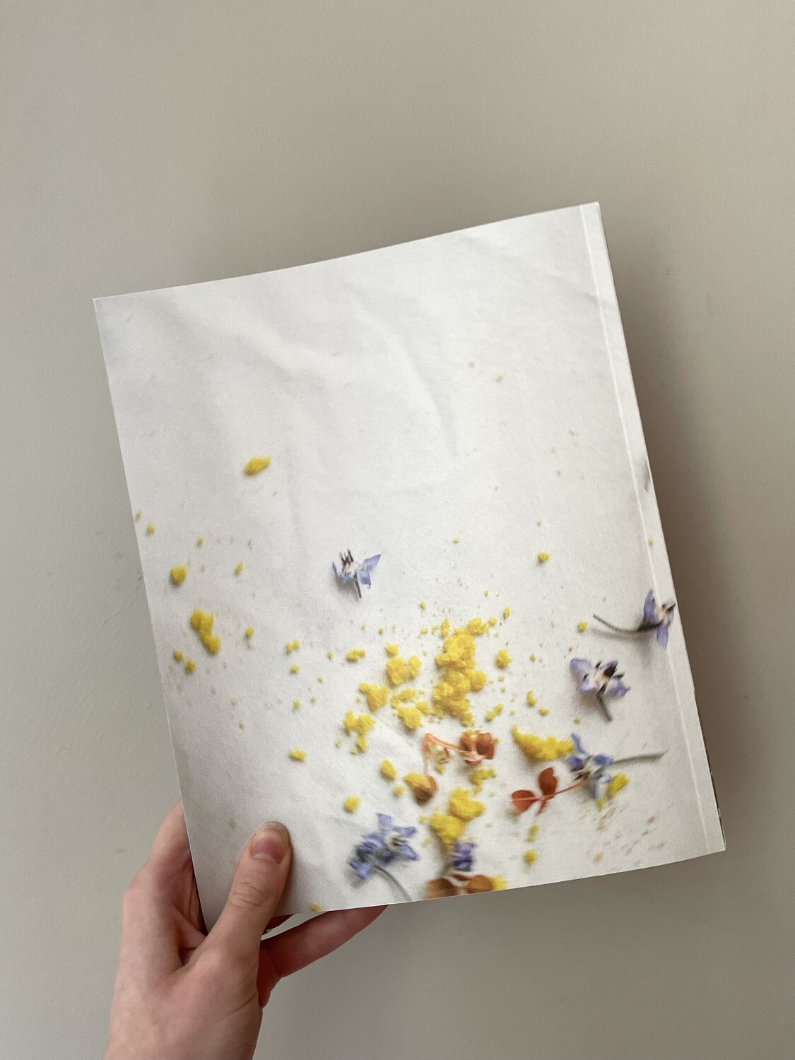 Журнал Seasons of life № 67 (весна 2023)