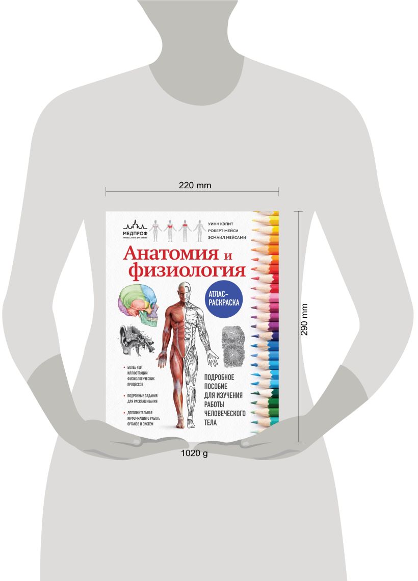 Анатомия и физиология. Атлас-раскраска