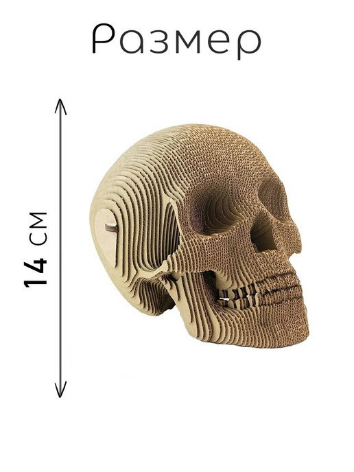 3D конструктор Череп