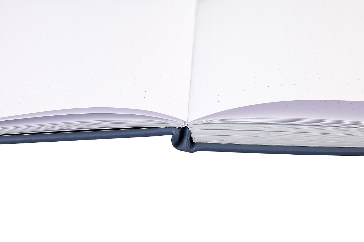 Блокнот Bullet Journal Стихия 14х20 80л (бежевый)