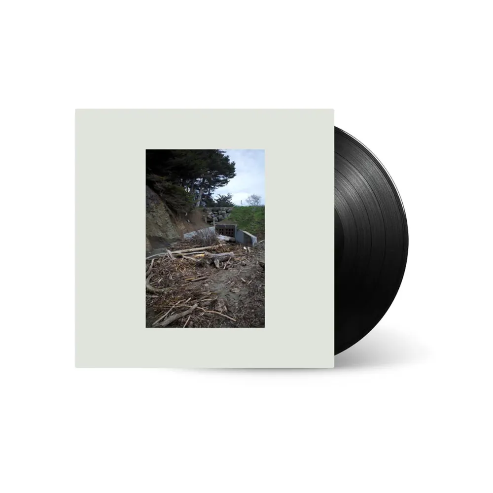 Пластинка (Р) Mac DeMarco - Five Easy Hot Dogs