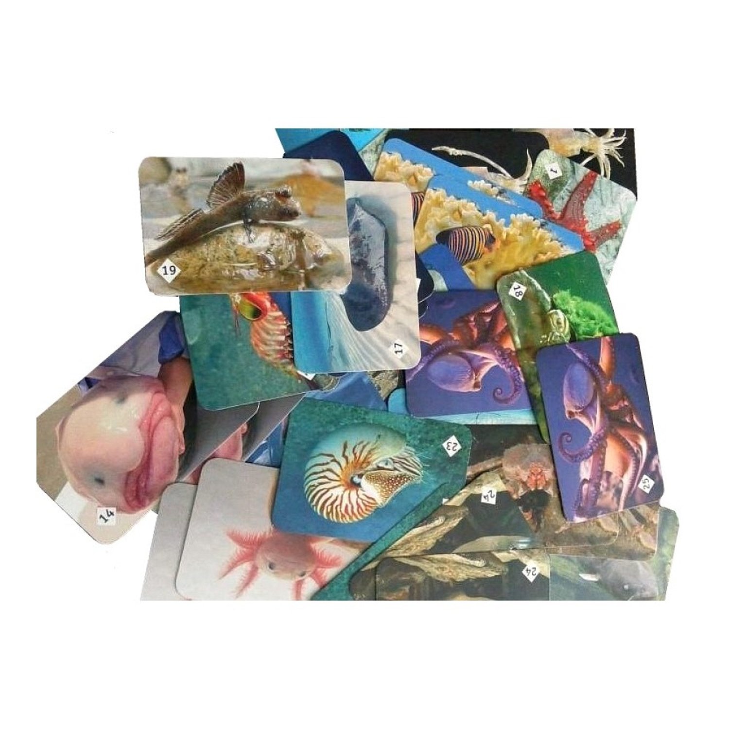 Настольная игра Мемо: Подводный мир