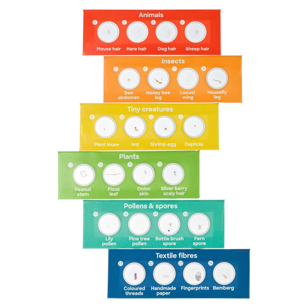 Микроскоп Discovery Micro Terra с книгой