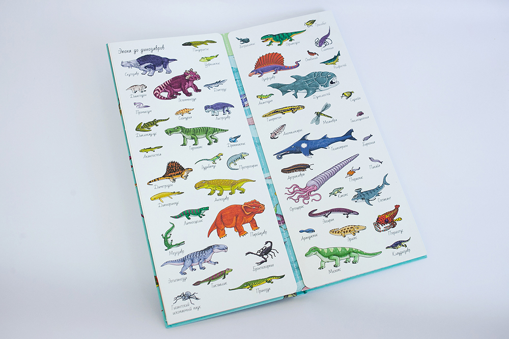 Динозавры. Найди и покажи