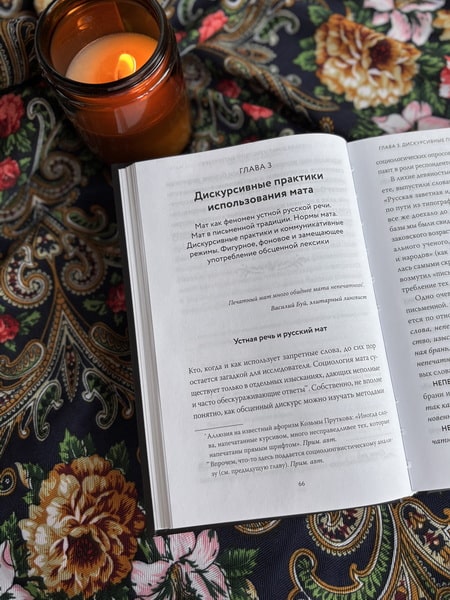 Запретные слова. Заметки лингвистов о русском мате