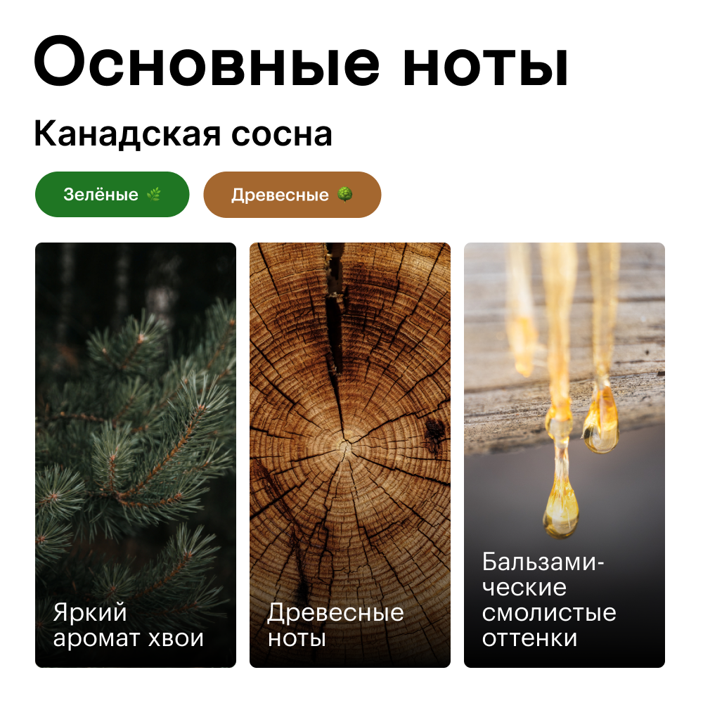 Духи роллербол Канадская сосна 10 мл.(БА)