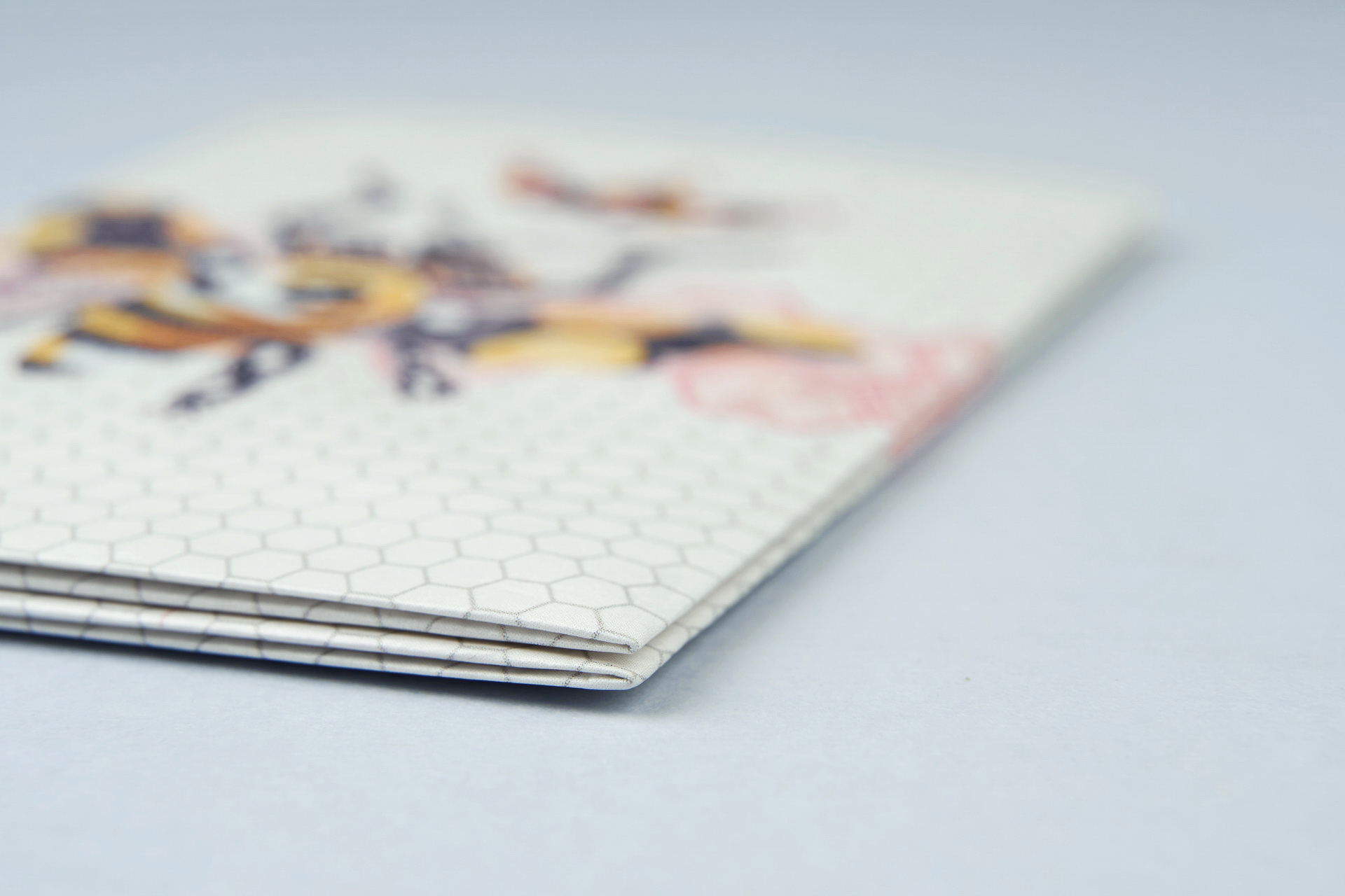 Обложка на паспорт NEW COVER - new Beefly