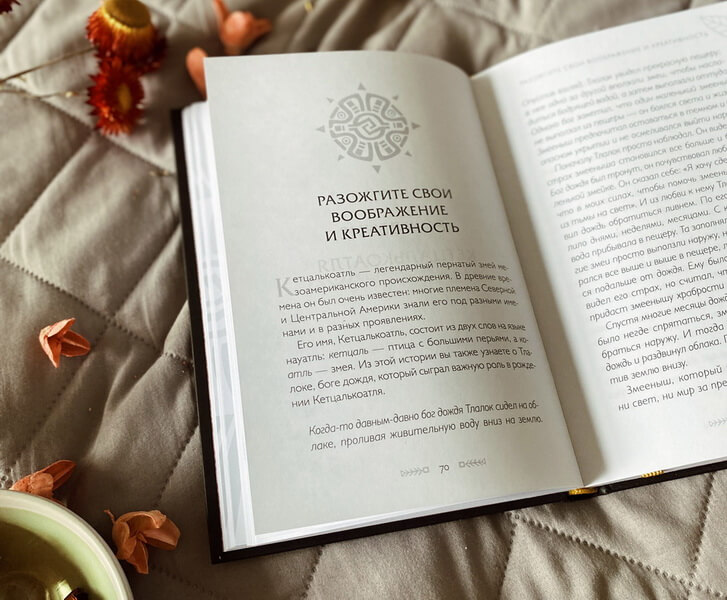 Истины шаманов. Тайные знания, истории и духовные практики