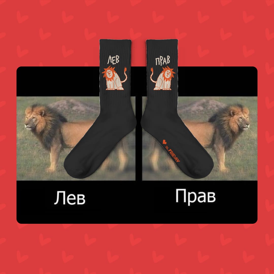 Носки спорт Я лев, ты прав! (38-41)