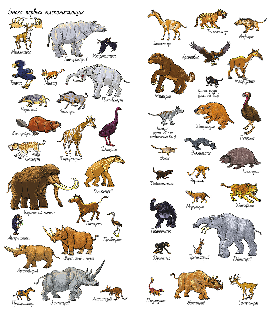 Динозавры. Найди и покажи