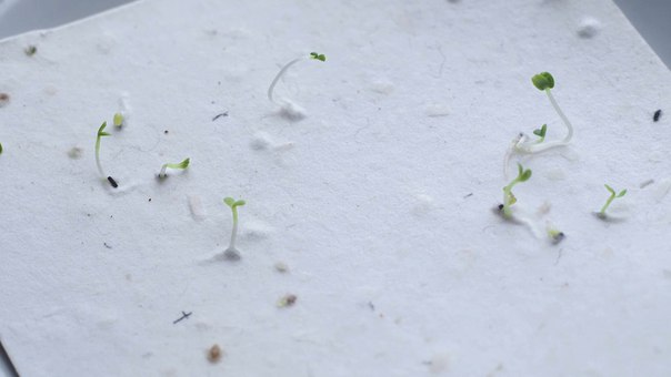 Растущая открытка Не болей