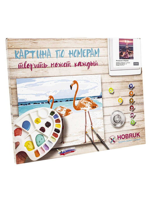 Картина по номерам На крыше в Париже
