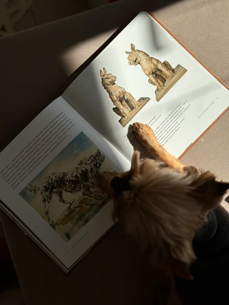 Боги, люди, собаки