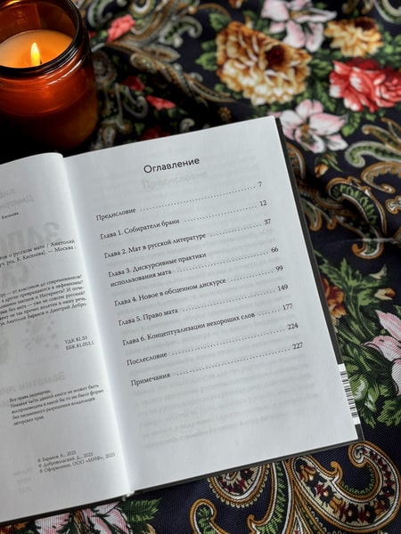 Запретные слова. Заметки лингвистов о русском мате