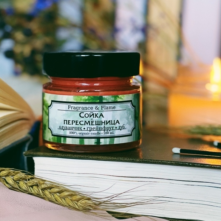 Ароматическая свеча Сойка-пересмешница 100 мл.