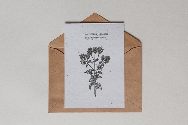 Растущая открытка Душица