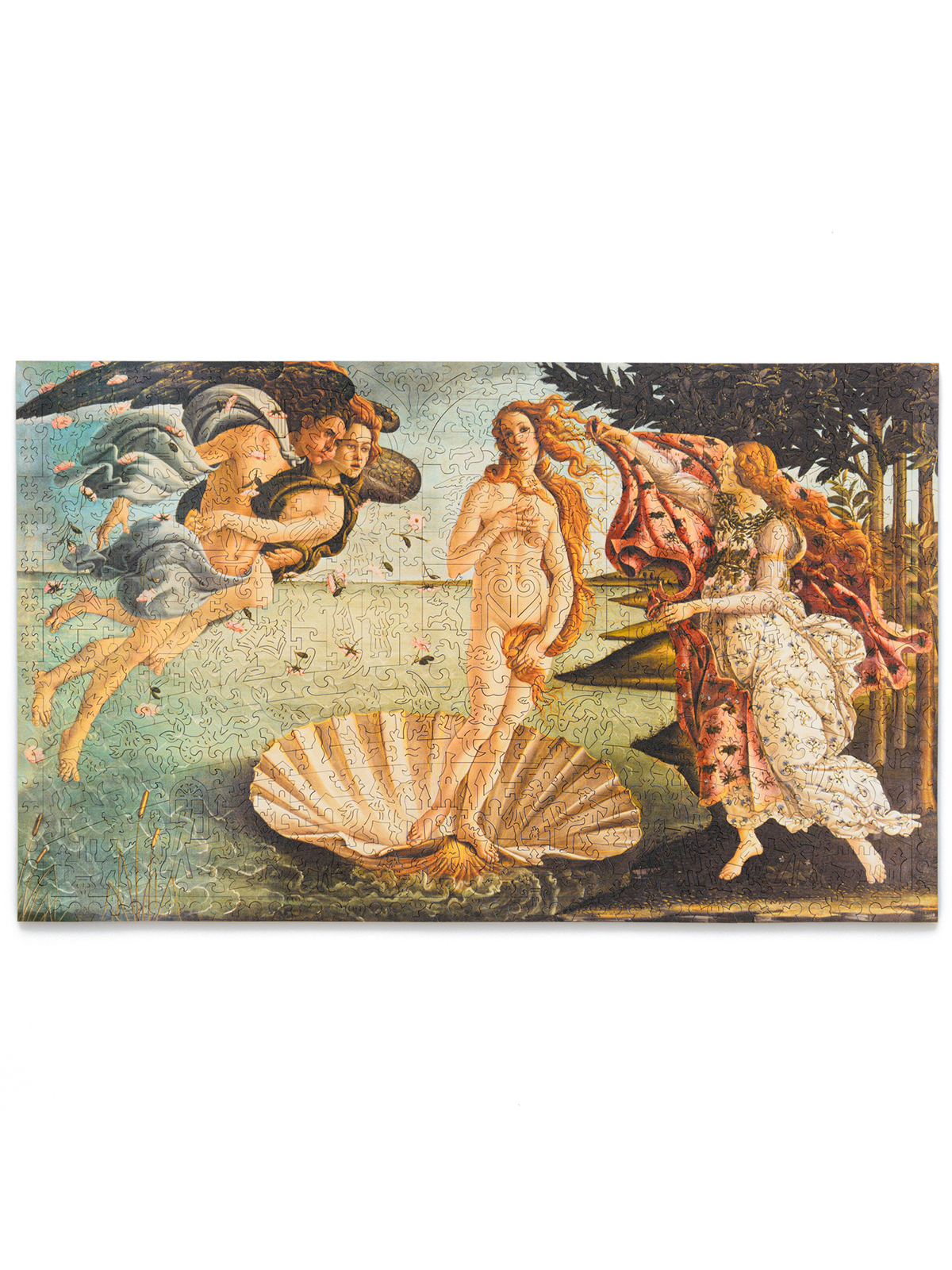 Деревянный пазл Рождение Венеры XL