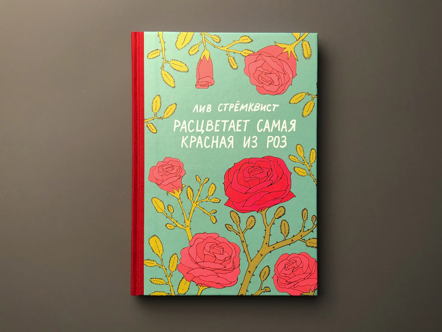 Расцветает самая красная из роз