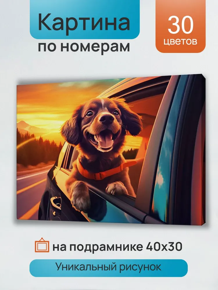 Картина по номерам На встречу ветру 30х40