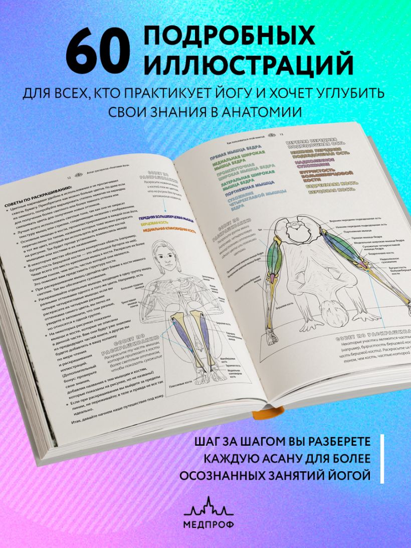Анатомия йоги: атлас-раскраска. Визуальный гид по телу