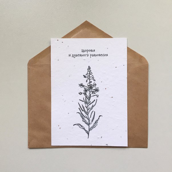 Растущая открытка Иван-чай