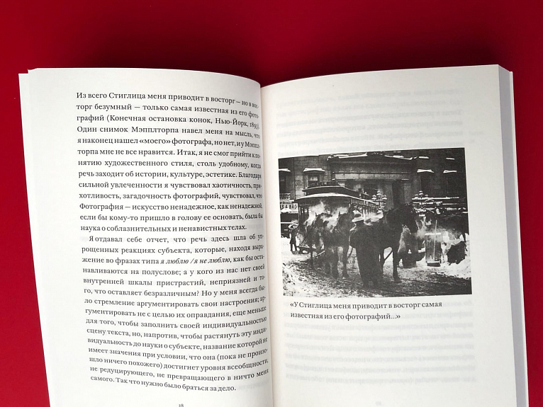 Camera Lucida. Комментарий к фотографии