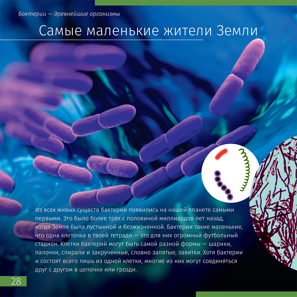 Книга знаний Невидимый мир