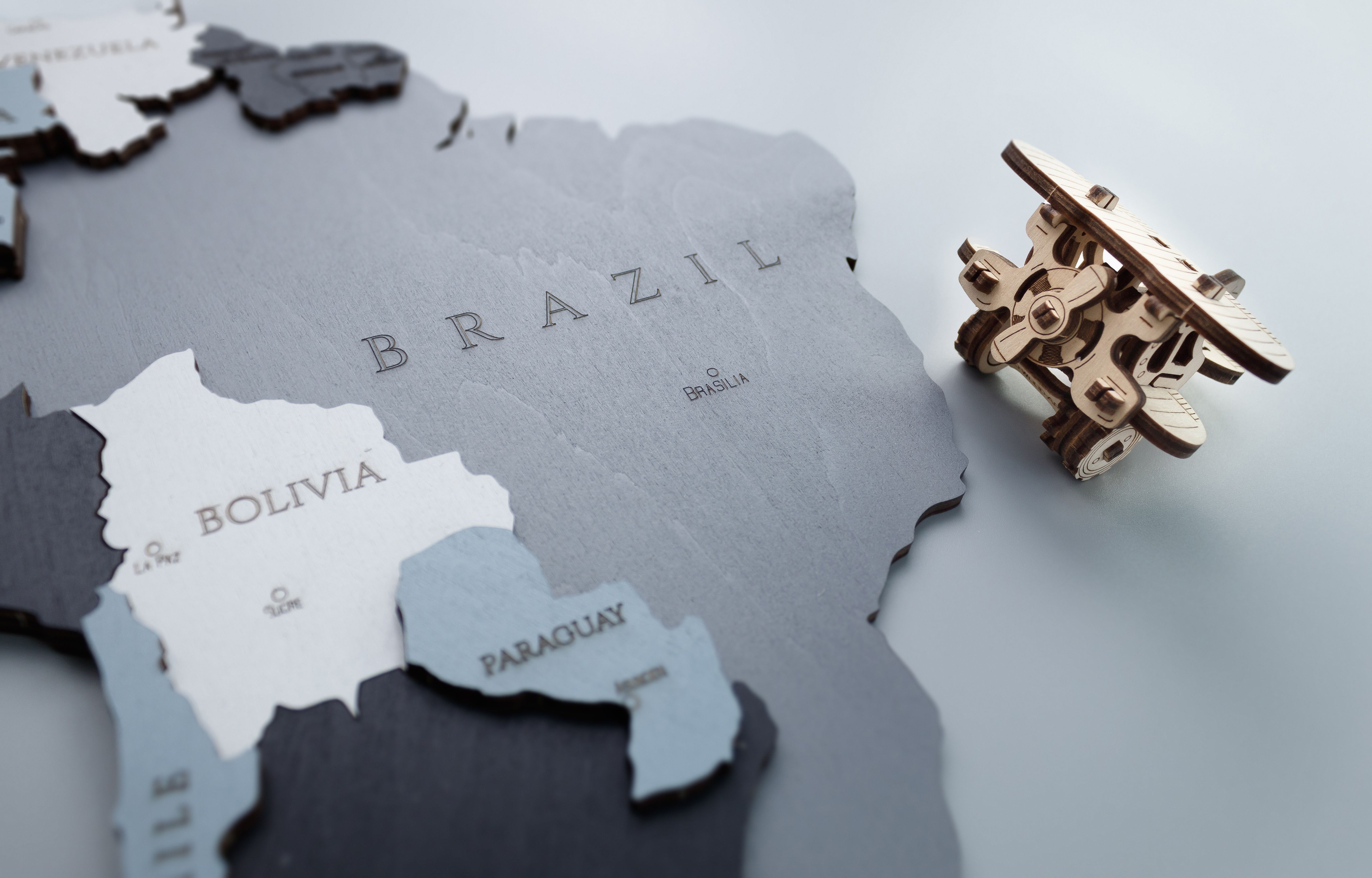 Образец Деревянная Карта Мира настенная EWA (дымчатый) S 