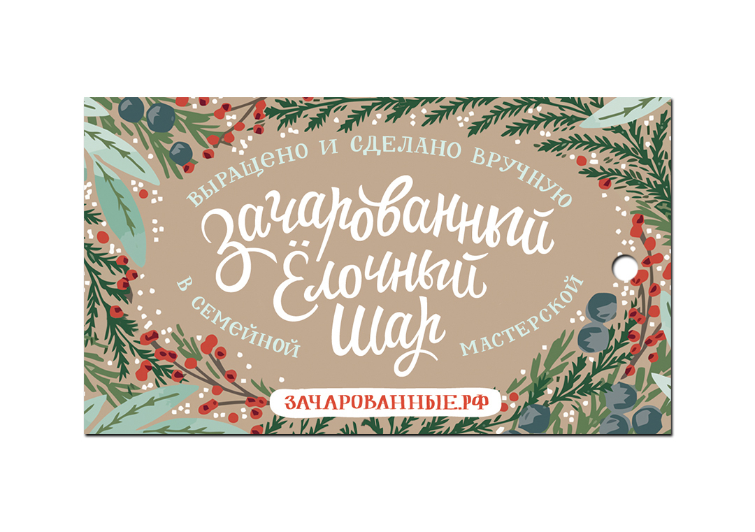 Зачарованный Шар Новогодний 10 см