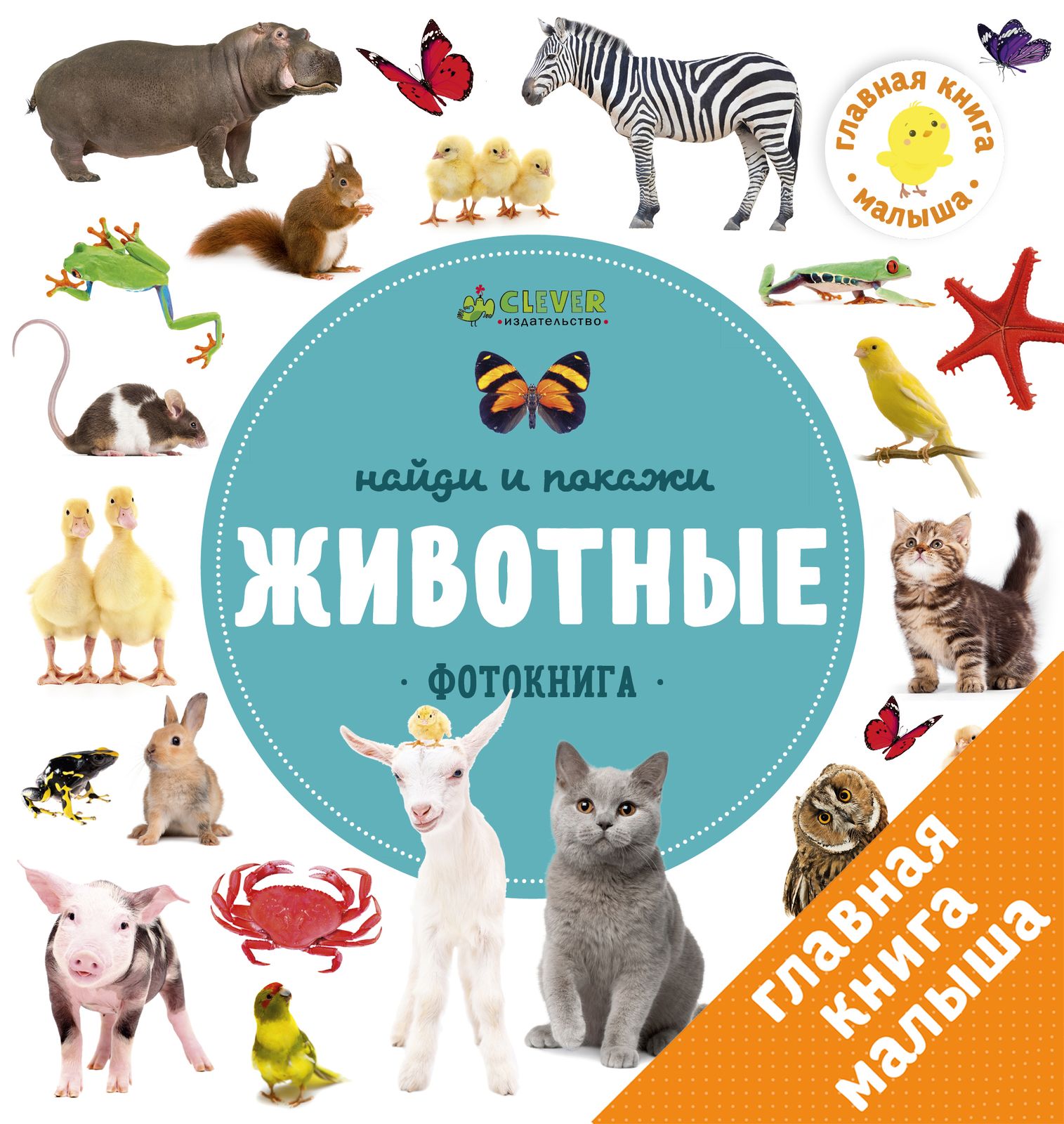 Найди и покажи, малыш. Животные
