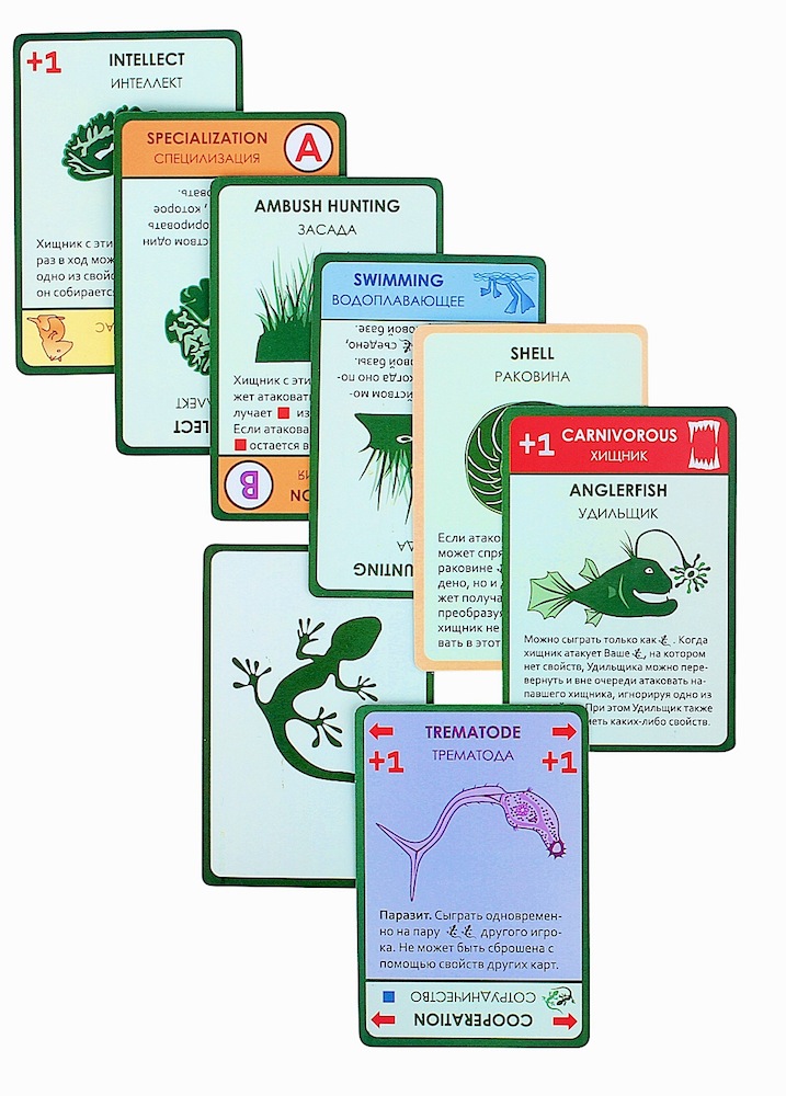 Настольная игра Эволюция  Дополнение Время летать