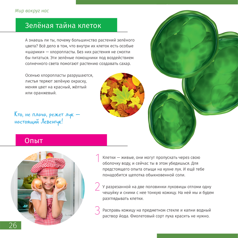 Книга знаний Невидимый мир